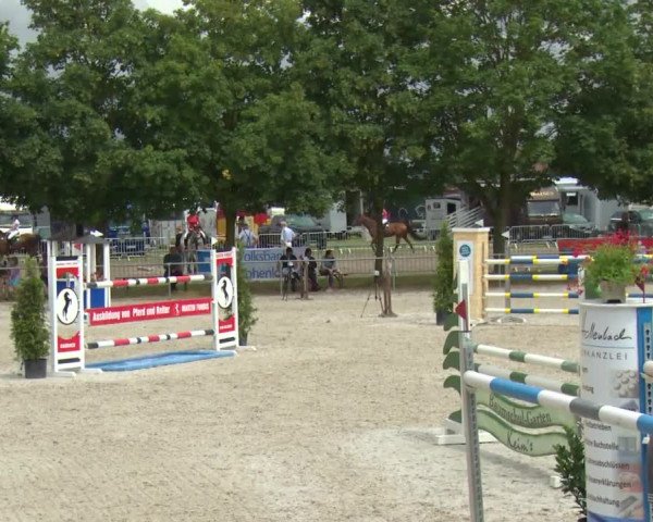 Reitturnier Rot am See-Musdorf 2016