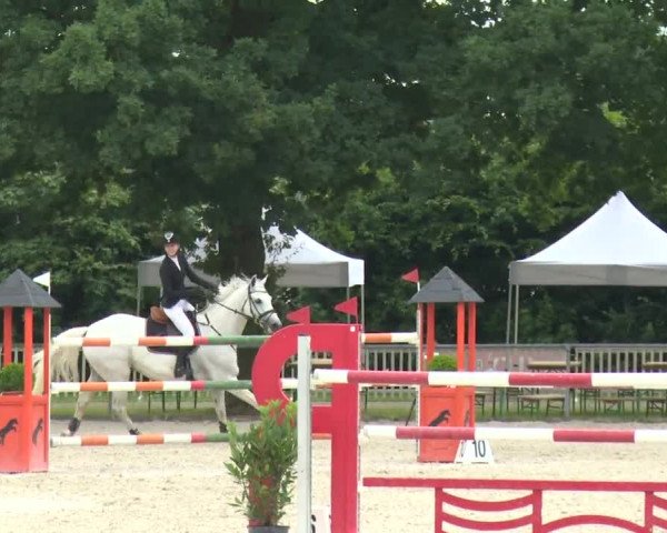 Reitturnier Rot am See-Musdorf 2016