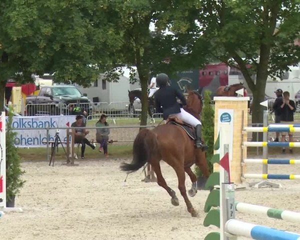 Reitturnier Rot am See-Musdorf 2016