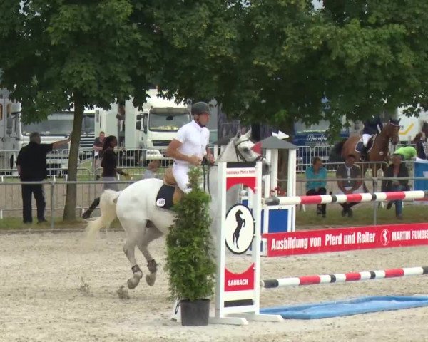 Reitturnier Rot am See-Musdorf 2016