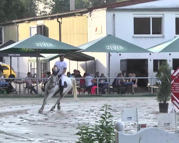 Reitturnier Schwetzingen 2016