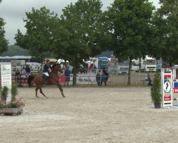 Reitturnier Rot am See-Musdorf 2016