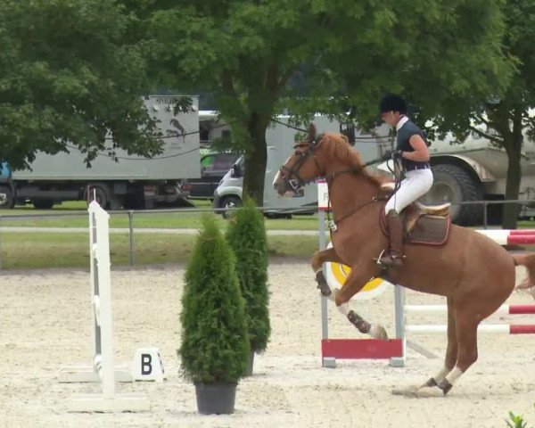 Reitturnier Rot am See-Musdorf 2016
