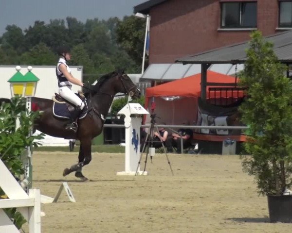 Sommerturnier Neuss-Allerheiligen 2016