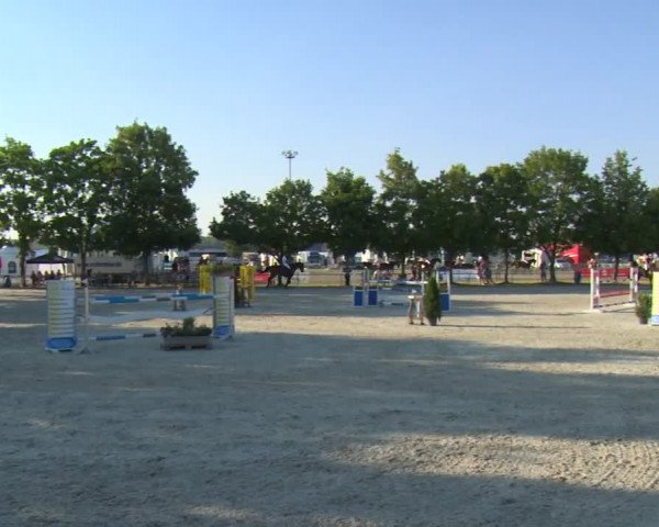 Reitturnier Rot am See-Musdorf 2016