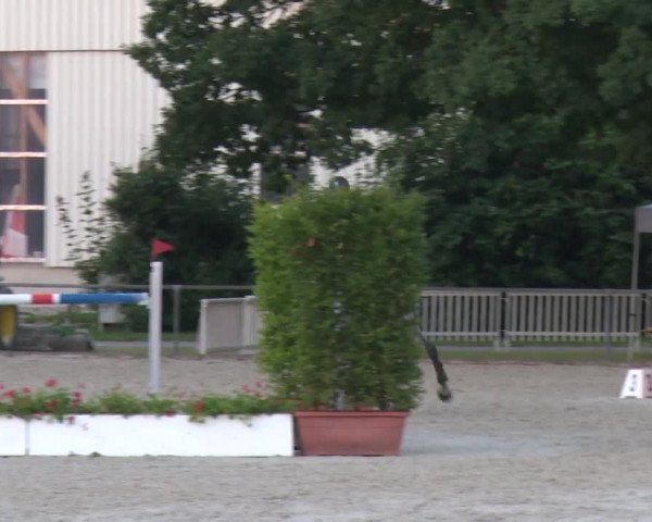 Reitturnier Rot am See-Musdorf 2016