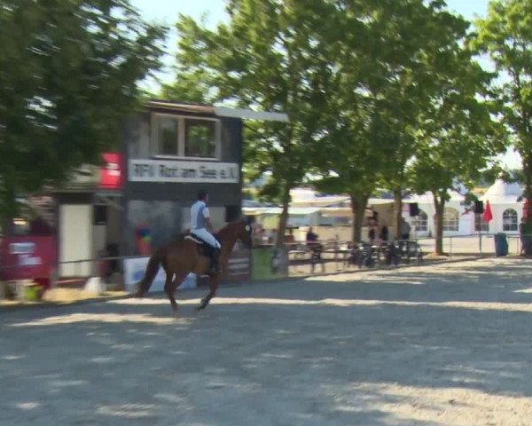 Reitturnier Rot am See-Musdorf 2016