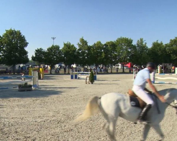 Reitturnier Rot am See-Musdorf 2016