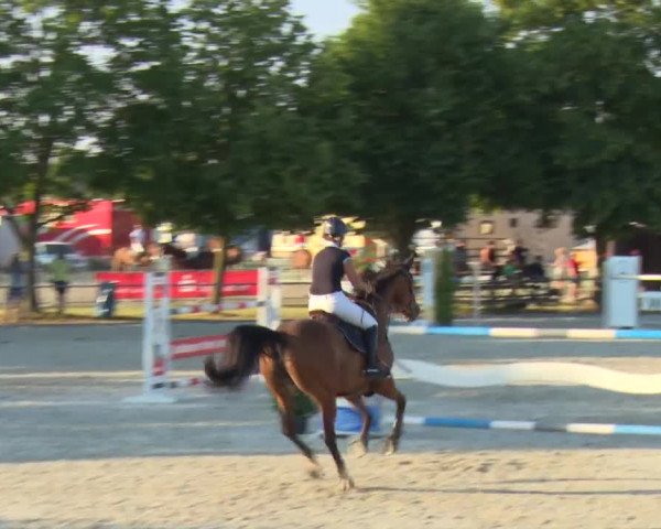 Reitturnier Rot am See-Musdorf 2016
