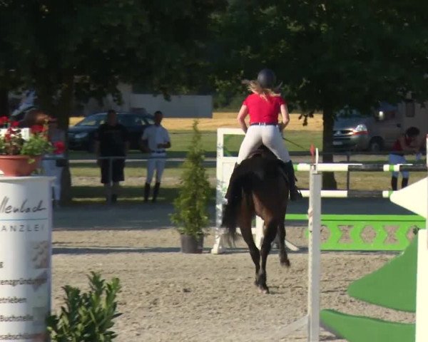 Reitturnier Rot am See-Musdorf 2016