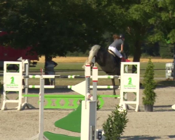 Reitturnier Rot am See-Musdorf 2016