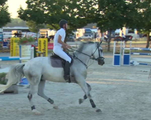 Reitturnier Rot am See-Musdorf 2016