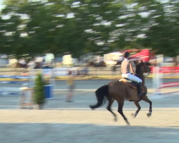 Reitturnier Rot am See-Musdorf 2016