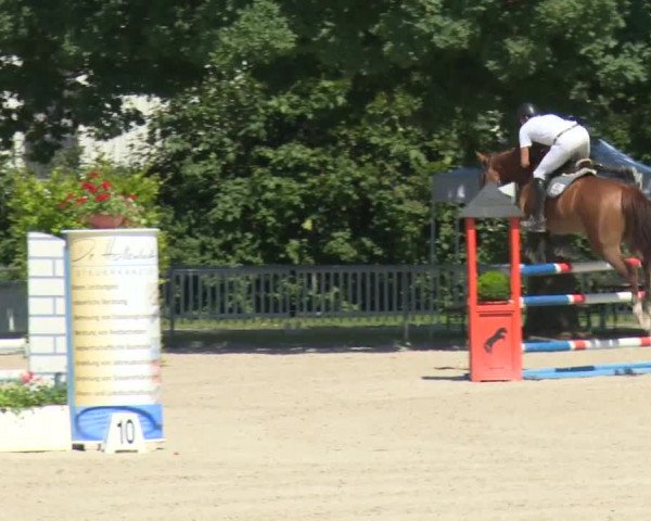 Reitturnier Rot am See-Musdorf 2016
