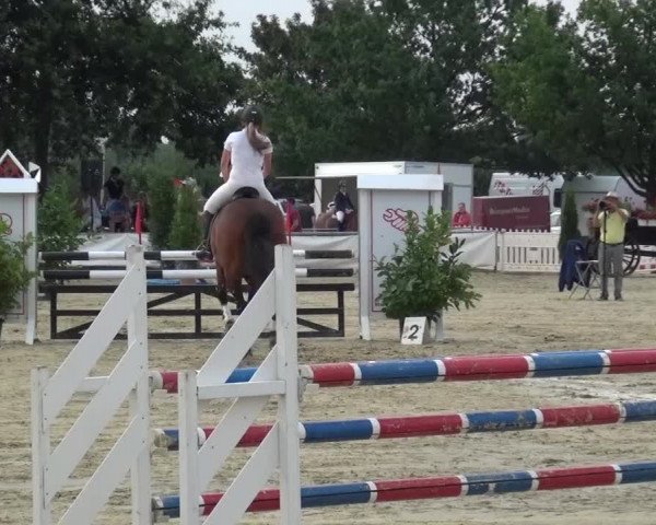 Sommerturnier Neuss-Allerheiligen 2016