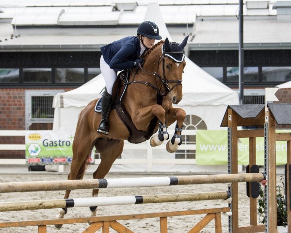jumper Genius Express (Westphalian, 2015, from Global Express)