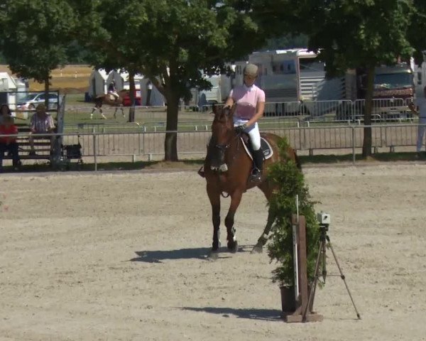 Reitturnier Rot am See-Musdorf 2016