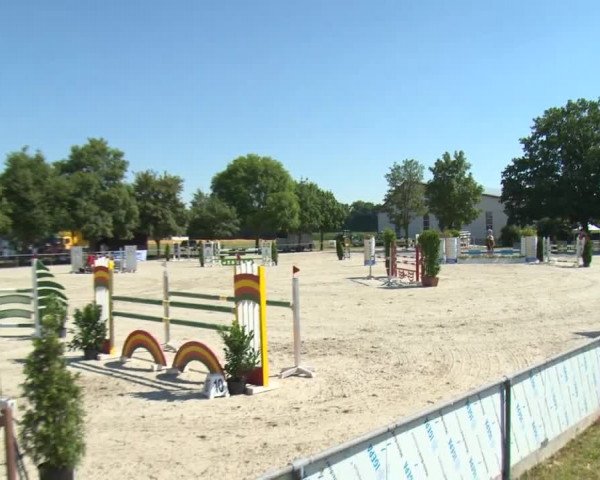 Reitturnier Rot am See-Musdorf 2016