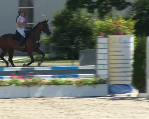 Reitturnier Rot am See-Musdorf 2016