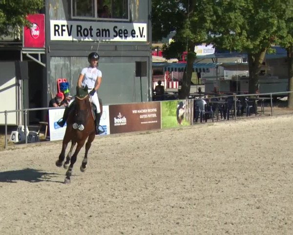 Reitturnier Rot am See-Musdorf 2016