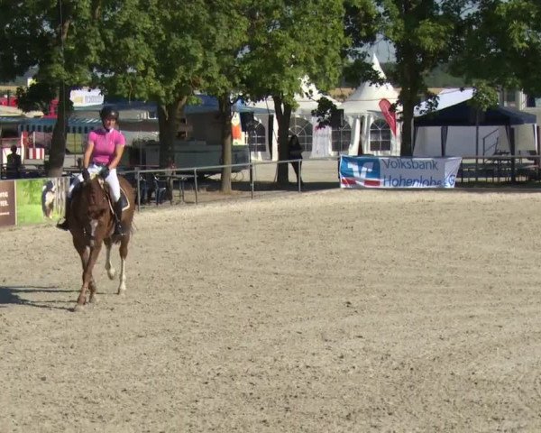 Reitturnier Rot am See-Musdorf 2016