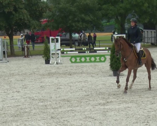 Reitturnier Rot am See-Musdorf 2016