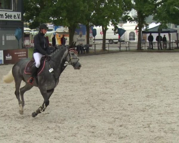 Reitturnier Rot am See-Musdorf 2016