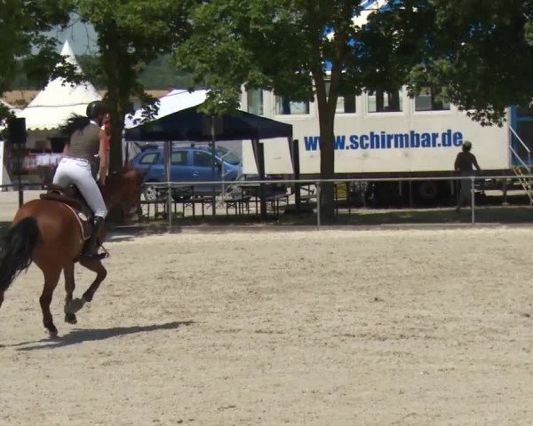 Reitturnier Rot am See-Musdorf 2016