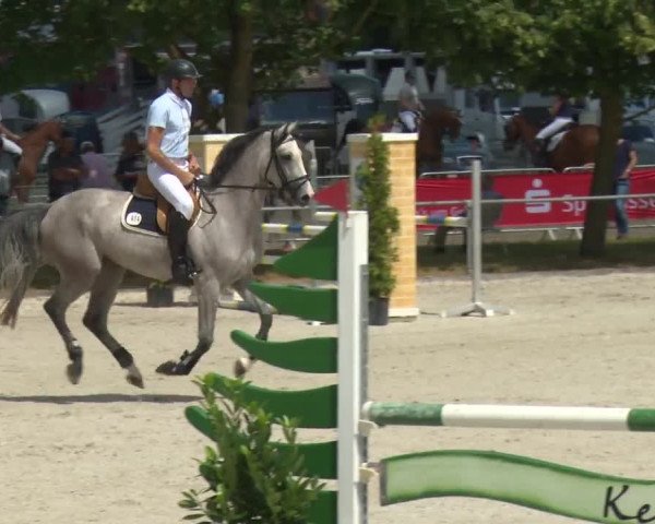 Reitturnier Rot am See-Musdorf 2016