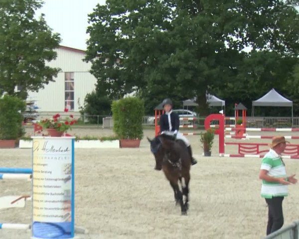 Reitturnier Rot am See-Musdorf 2016