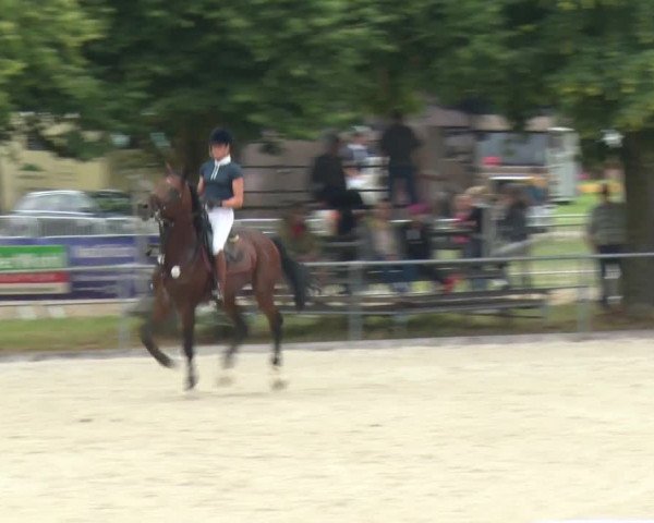 Reitturnier Rot am See-Musdorf 2016