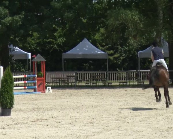 Reitturnier Rot am See-Musdorf 2016