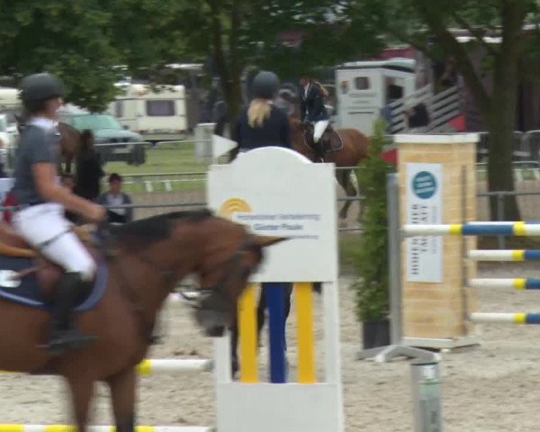 Reitturnier Rot am See-Musdorf 2016