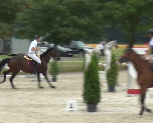 Reitturnier Rot am See-Musdorf 2016