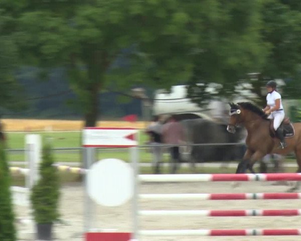 Reitturnier Rot am See-Musdorf 2016