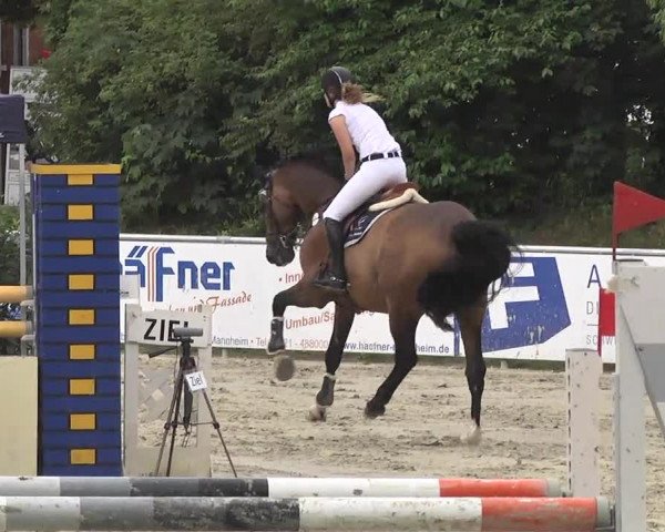 Reitturnier Schwetzingen 2016
