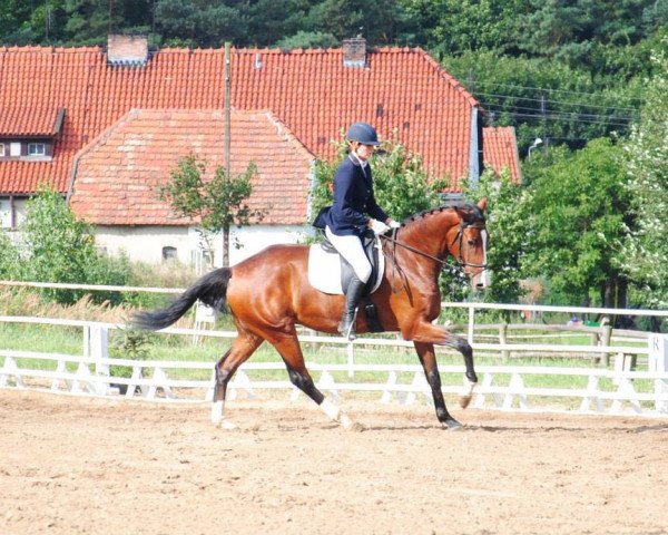 broodmare Florence (Oldenburg, 2009, from Florenciano 6)