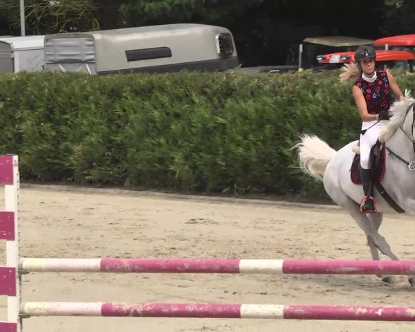 Reitturnier Schwetzingen 2016
