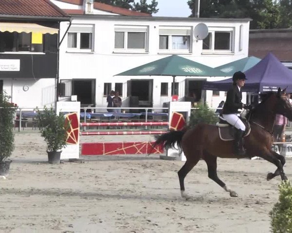 Reitturnier Schwetzingen 2016