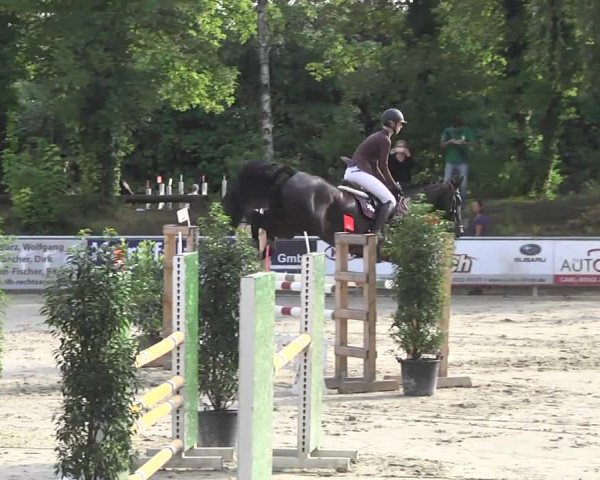 Reitturnier Schwetzingen 2016