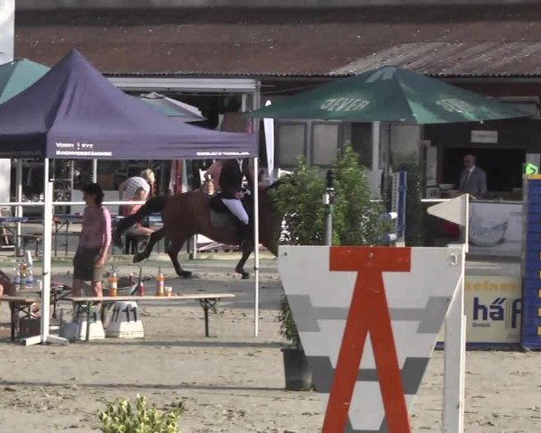 Reitturnier Schwetzingen 2016
