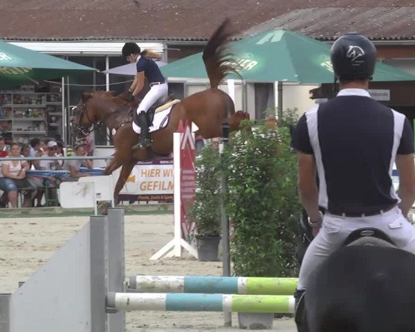 Reitturnier Schwetzingen 2016