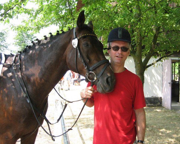horse Pellegrino 21 (Westphalian, 1993, from Parademarsch II)