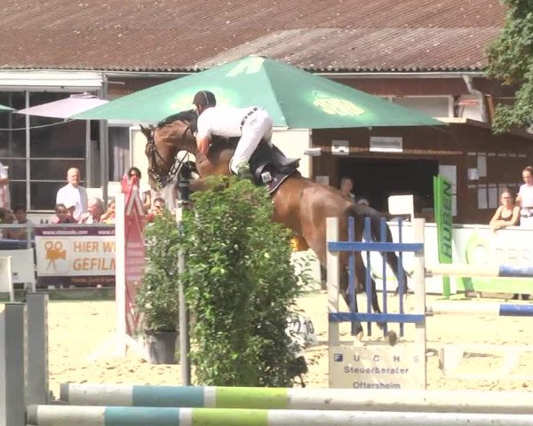 Reitturnier Schwetzingen 2016