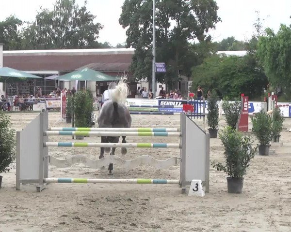 Reitturnier Schwetzingen 2016