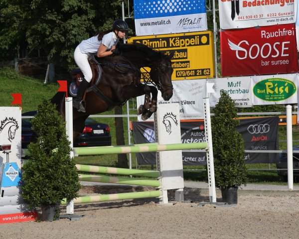 Springpferd Cory Lee CH (+) (Schweizer Warmblut, 2010, von Corlensky G)