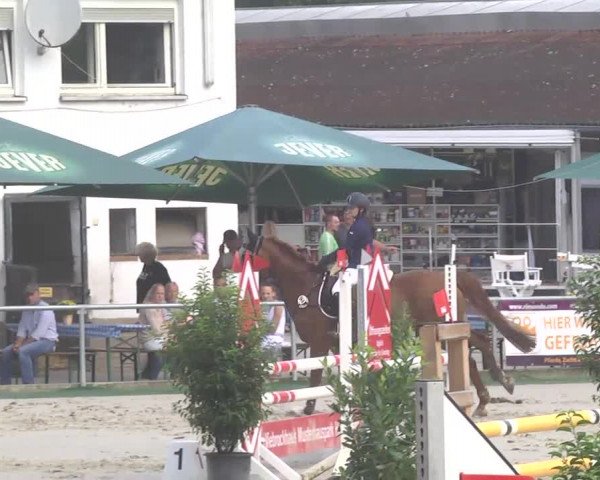 Reitturnier Schwetzingen 2016