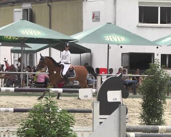 Reitturnier Schwetzingen 2016