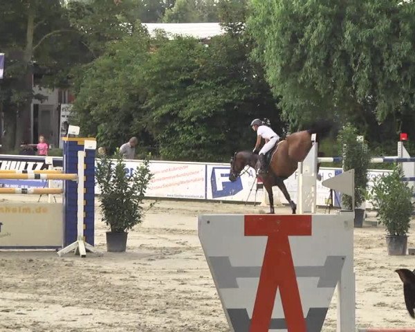 Reitturnier Schwetzingen 2016