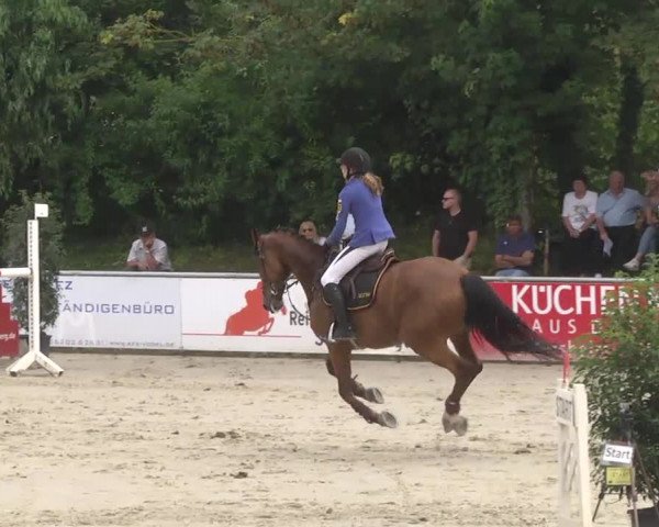 Reitturnier Schwetzingen 2016